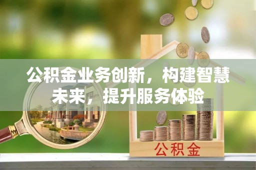 新化公积金业务创新，构建智慧未来，提升服务体验