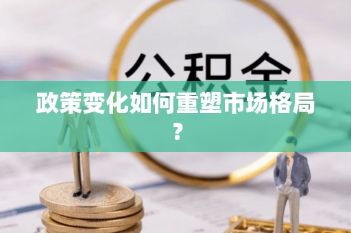 新化政策变化如何重塑市场格局？