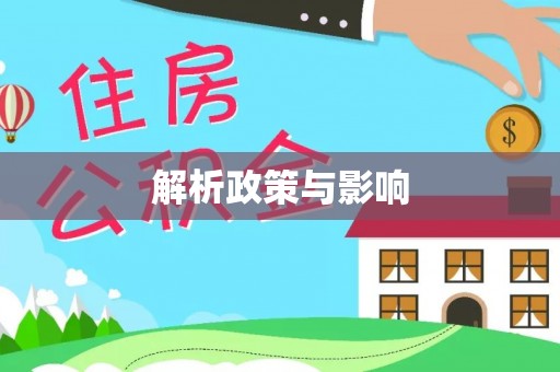 新化解析政策与影响