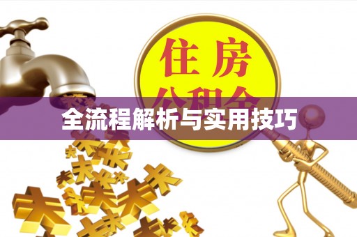 新化全流程解析与实用技巧