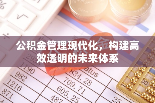 新化公积金管理现代化，构建高效透明的未来体系