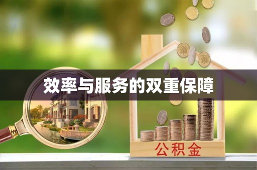 新化效率与服务的双重保障