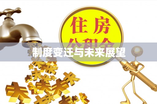 新化制度变迁与未来展望