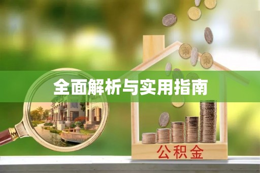 新化全面解析与实用指南