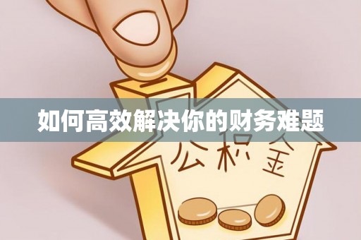 新化如何高效解决你的财务难题