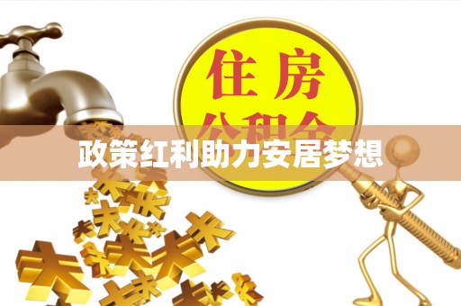 新化政策红利助力安居梦想