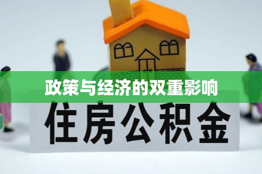 新化政策与经济的双重影响