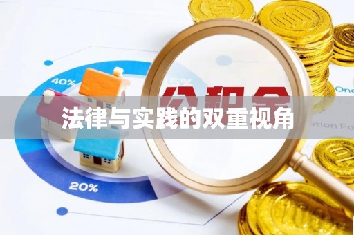 新化法律与实践的双重视角