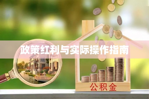 新化政策红利与实际操作指南
