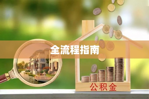 新化全流程指南