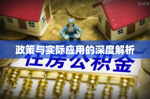 新化政策与实际应用的深度解析