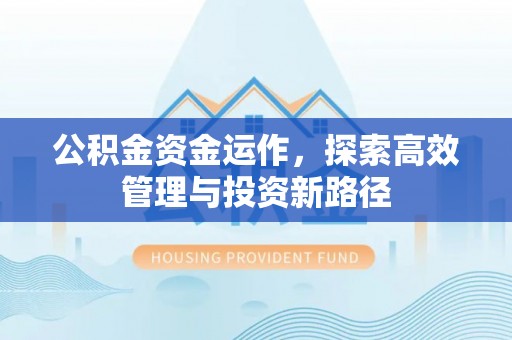 新化公积金资金运作，探索高效管理与投资新路径