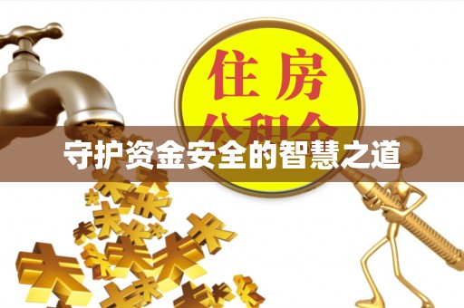 新化守护资金安全的智慧之道