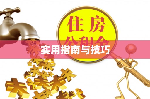新化实用指南与技巧