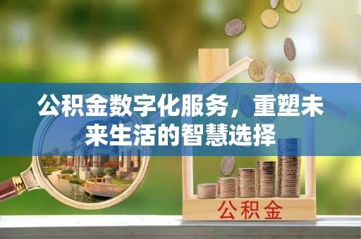 新化公积金数字化服务，重塑未来生活的智慧选择