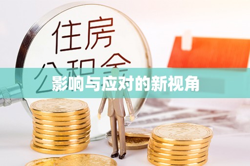 新化影响与应对的新视角