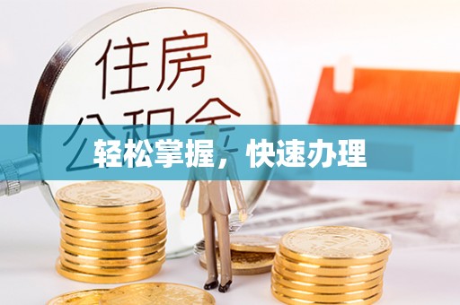 新化轻松掌握，快速办理