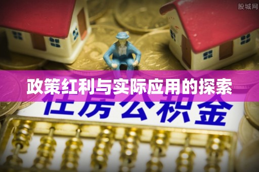 新化政策红利与实际应用的探索