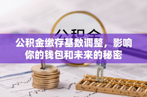 新化公积金缴存基数调整，影响你的钱包和未来的秘密