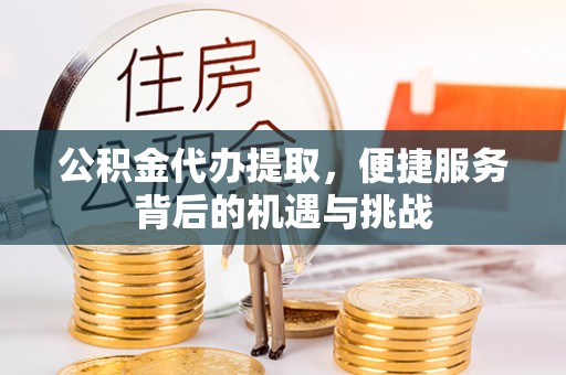 新化公积金代办提取，便捷服务背后的机遇与挑战