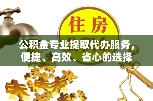 新化公积金专业提取代办服务，便捷、高效、省心的选择