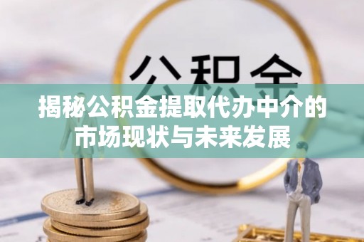 新化揭秘公积金提取代办中介的市场现状与未来发展
