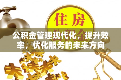 新化公积金管理现代化，提升效率，优化服务的未来方向