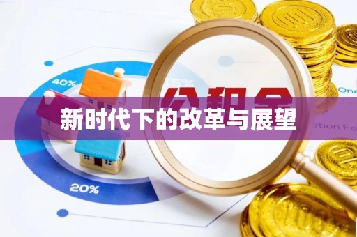 新化新时代下的改革与展望