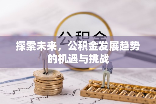 新化探索未来，公积金发展趋势的机遇与挑战