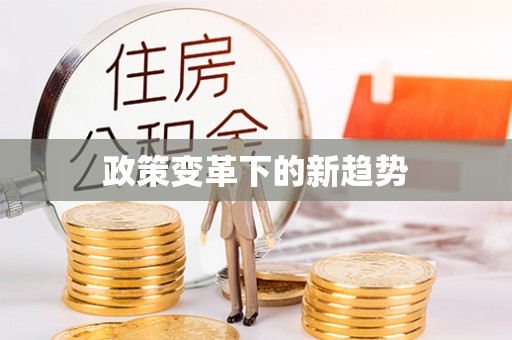 新化政策变革下的新趋势