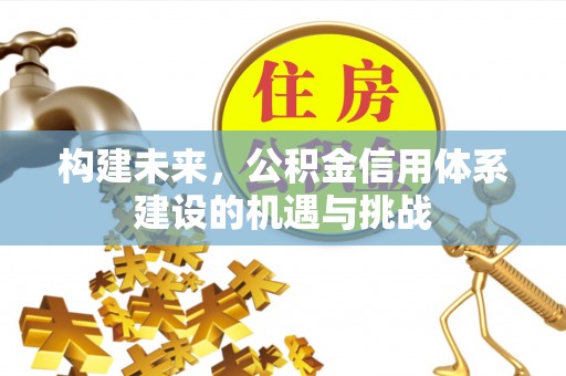 新化构建未来，公积金信用体系建设的机遇与挑战