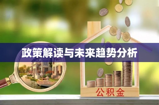 新化政策解读与未来趋势分析