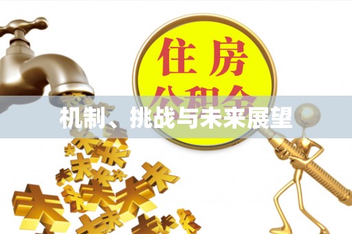 新化机制、挑战与未来展望