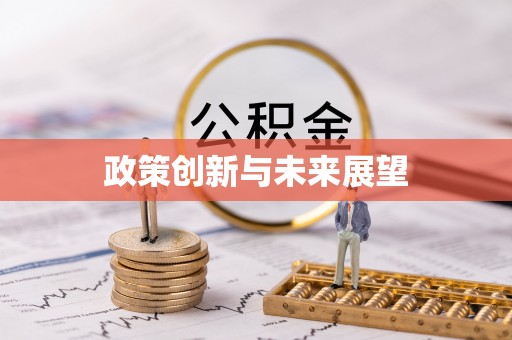 新化政策创新与未来展望