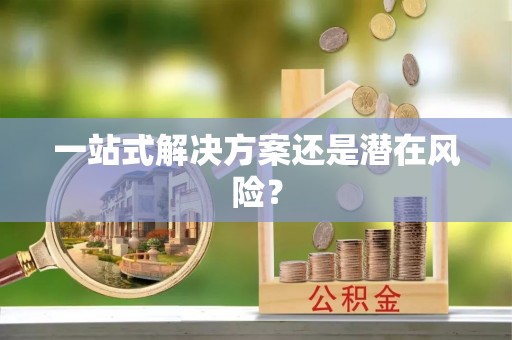 新化一站式解决方案还是潜在风险？
